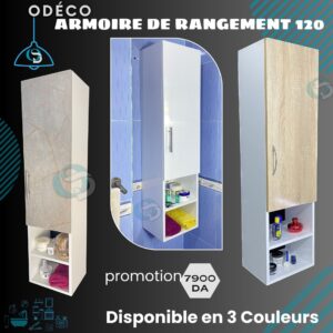 Armoire de Rangement 120