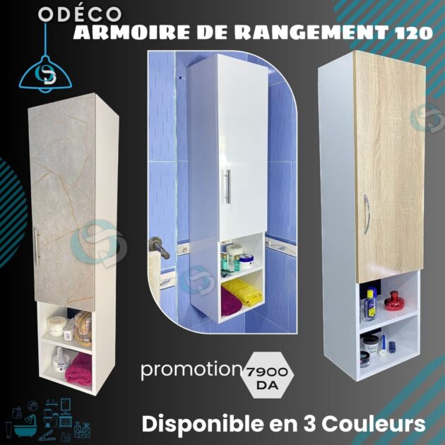 Armoire de Rangement 120